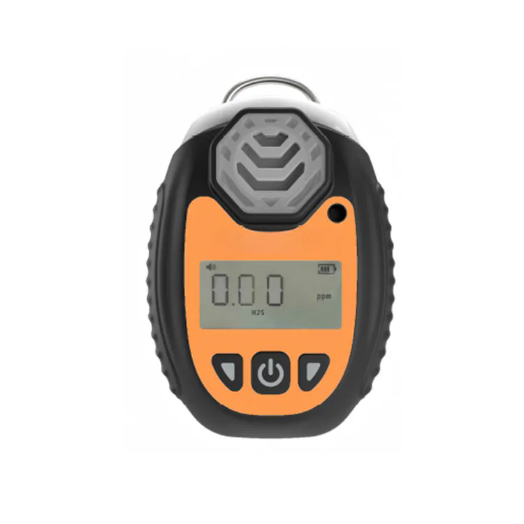 Why Are Portable Gas Detectors Essential for Safety in Hazardous Environments?